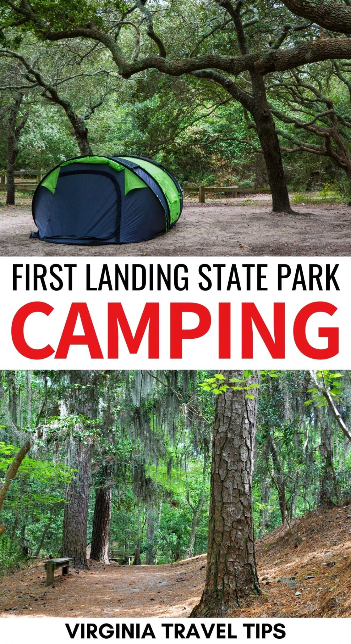 First Landing State Park Camping Tips (Cabins, Info, & More)