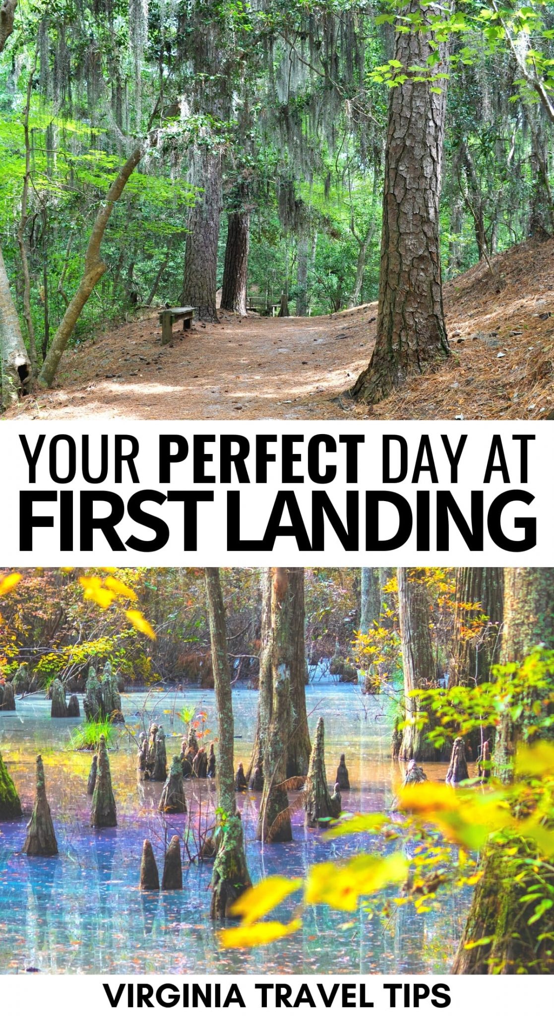 Everything To Know Before Visiting First Landing State Park