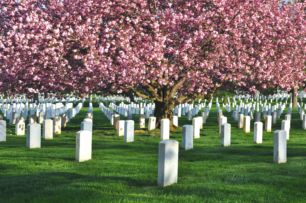 Arlington National Cemetery during spring