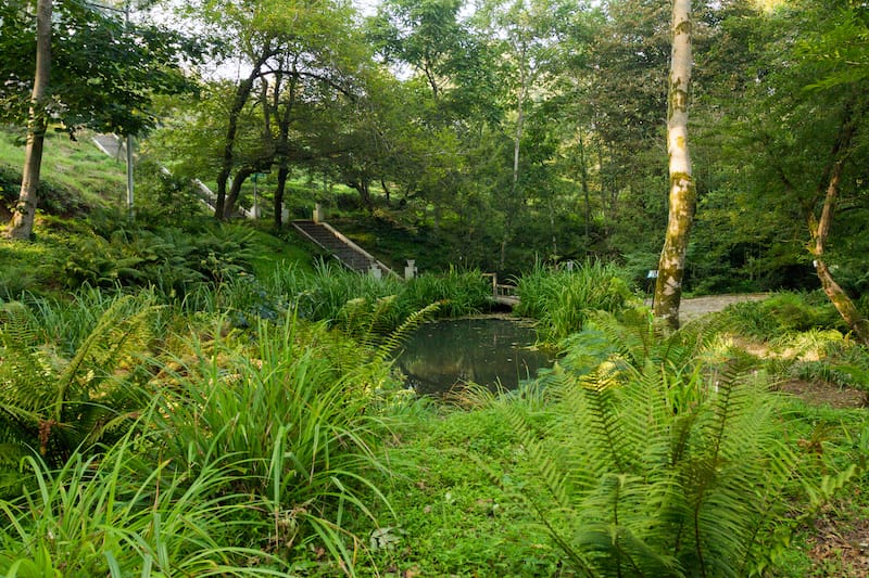 Byrd Park in Richmond VA