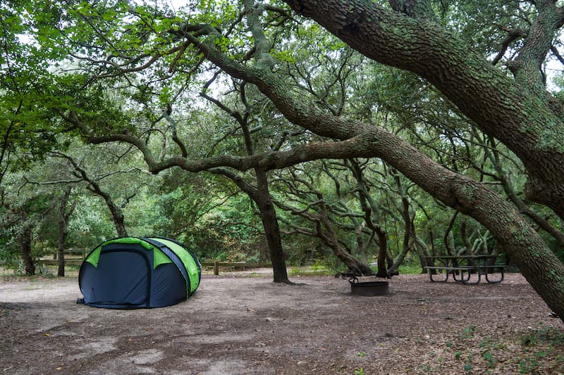 Camping at First Landing State Park in Virginia