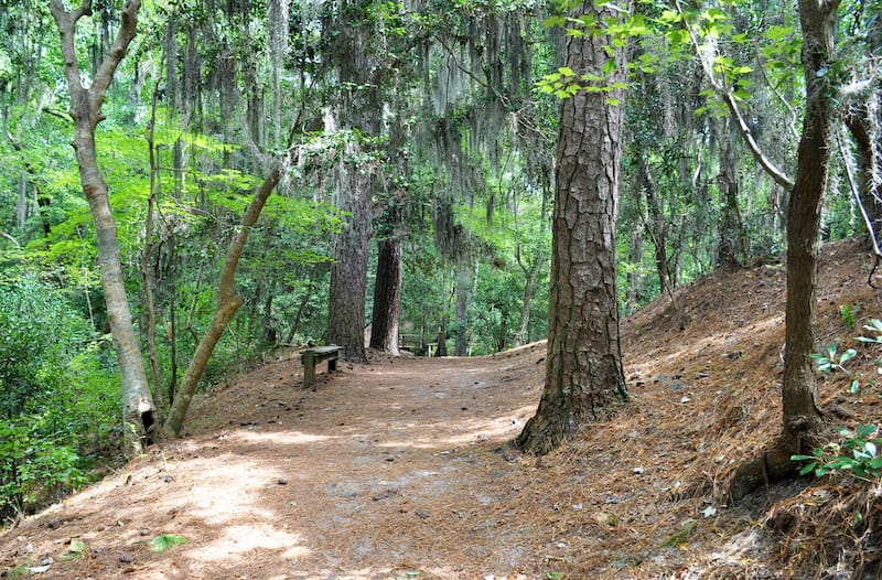 First Landing State Park hiking path Virginia