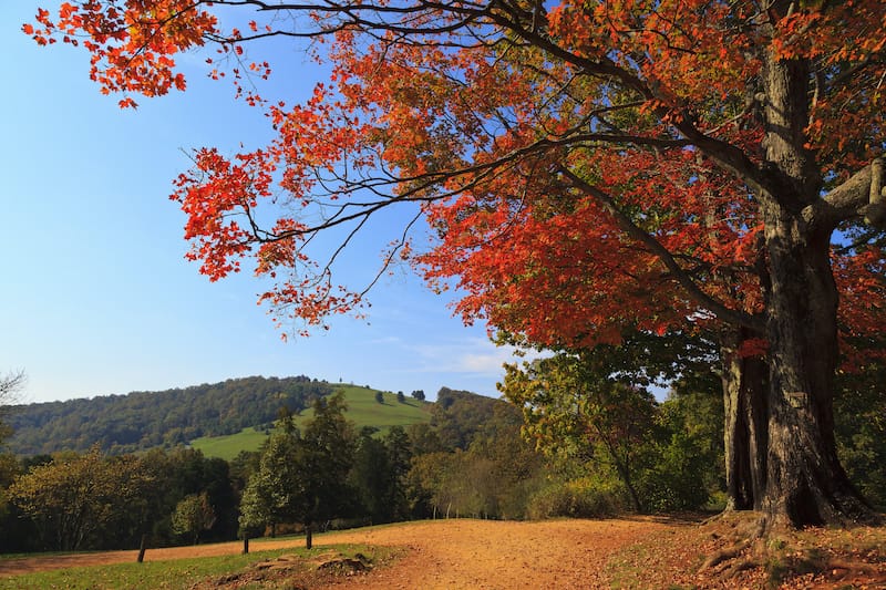 Monticello hiking trails in Charlottesville Virginia