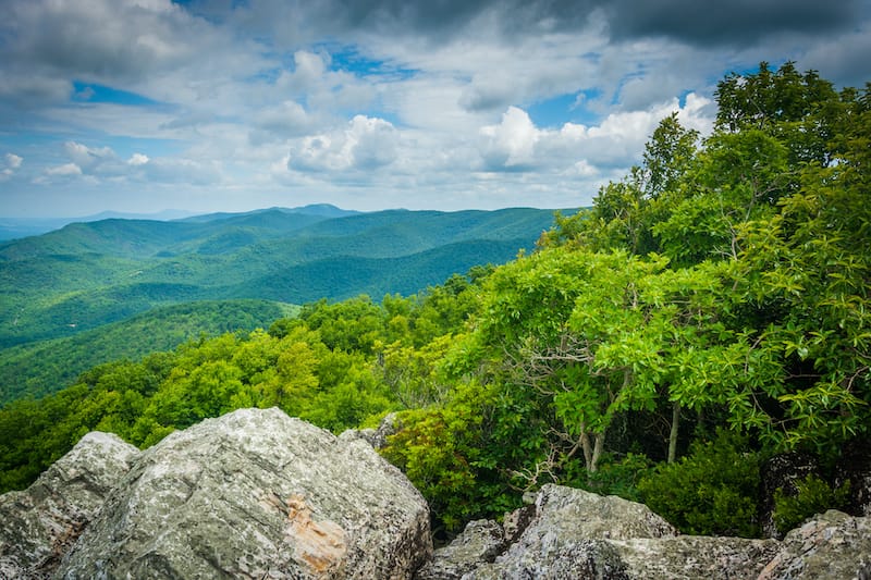 Turk Mountain Trail during summer near Charlottesville hiking spot