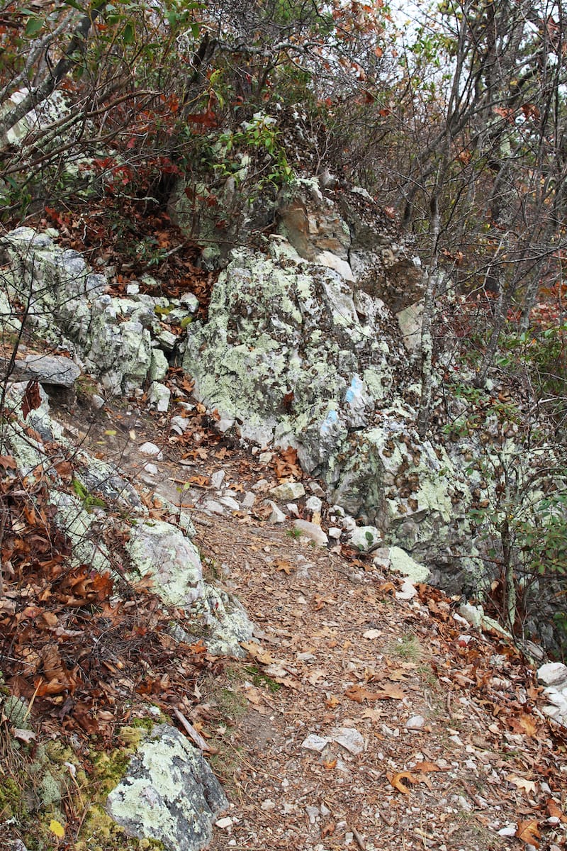 Turk Mountain Trail near Charlottesville Virginia hiking trail