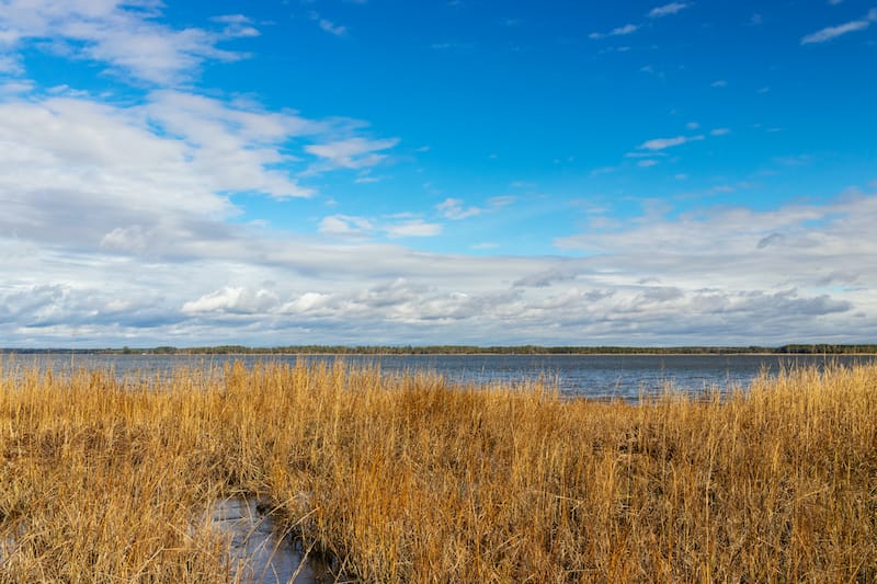 York River State Park in VA