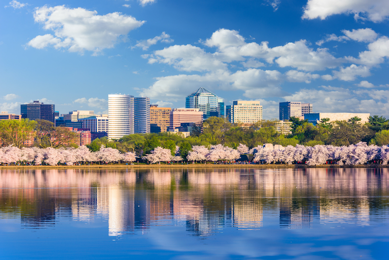 spring season at the Tidal Basin with the Rossyln business district skyline in the background in Arlington