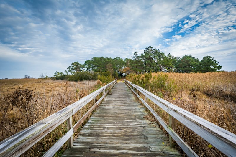 Boardwalk trail at Chincoteague Island, Virginia