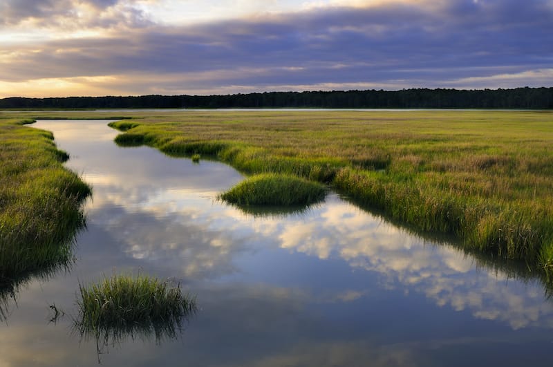 Things to know before visiting Chincoteague