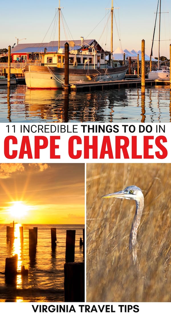 Are you traveling to the Eastern Shore and are looking for the best things to do in Cape Charles VA? This guide details what to do, where to stay, and more! | Cape Charles VA | Eastern Shore Virginia | Places to visit in Virginia | Cape Charles things to do | Tidewater Virginia | Things to do in Virginia | Beaches in Virginia | Kiptopeke State Park Virginia | Savage Neck Dunes Virginia | Virginia history | Chesapeake Bay Virginia