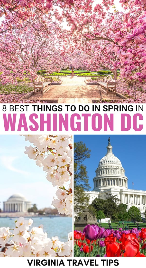 What to Do in Washington D.C. This Spring