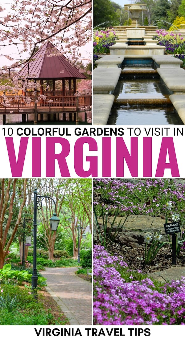 Do you love colorful flowers and trees? This guide to the best botanical gardens in Virginia (and DC!) will guide you through amazing gardens in Virginia! | Washington DC gardens | Washington DC parks | Botanical Gardens DC | Gardens in Virginia | Parks in Virginia | Arboretum Washington DC | Arboretum Virginia | Maymont Park | Richmond botanical gardens | Norfolk Botanical Gardens | Horticultural