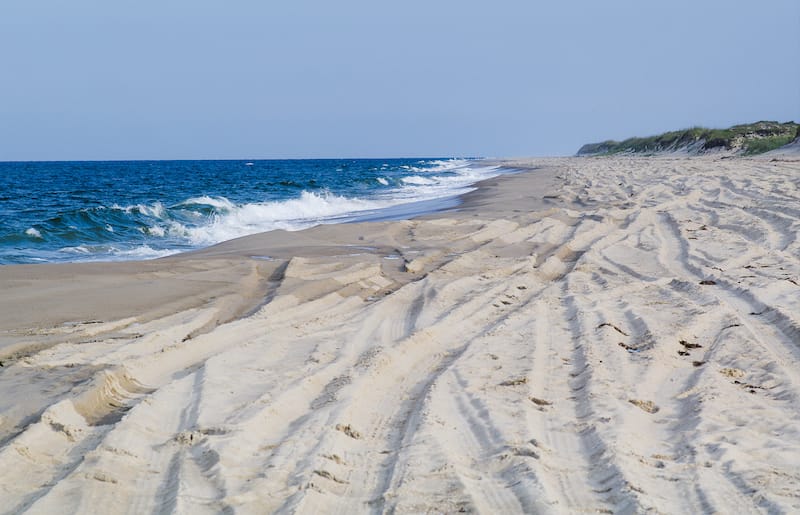 Back Bay National Wildlife Refuge Virginia 7