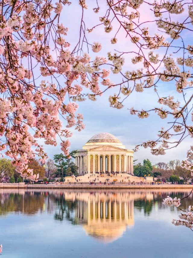 8 Reasons to Visit Washington DC in Spring