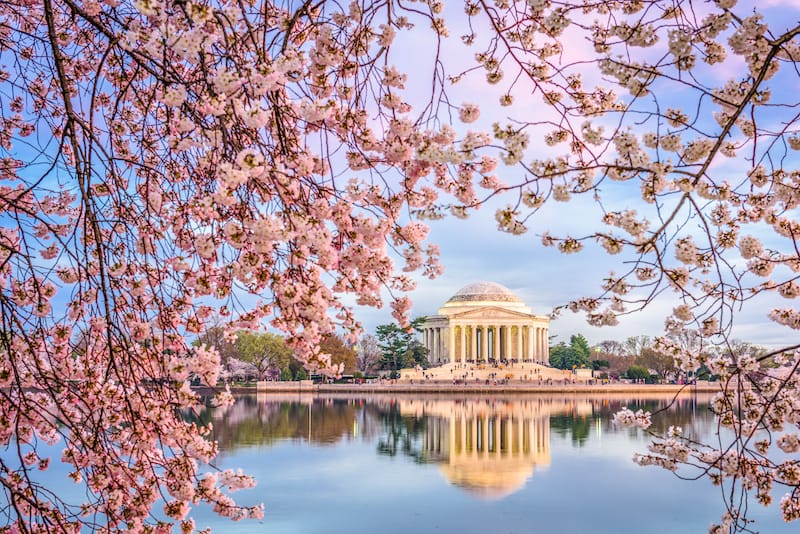 Jefferson Memorial Washington DC in spring