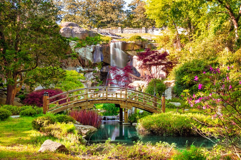 10 Botanical Gardens in Virginia (+ Arboretums)