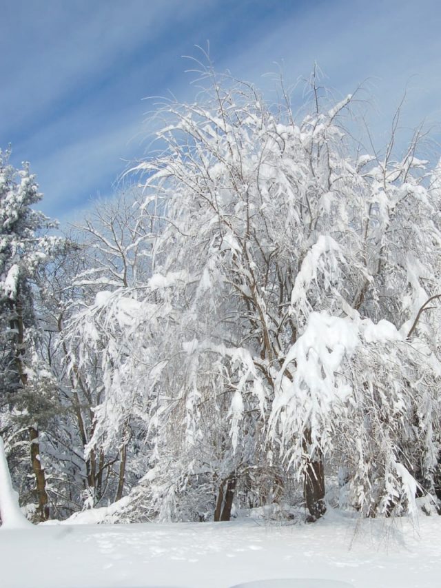 5 Reasons to Visit Shenandoah in Winter