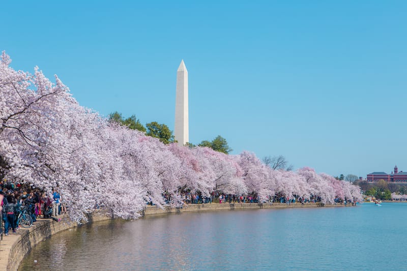 Tidal Basin in Spring in Washington DC