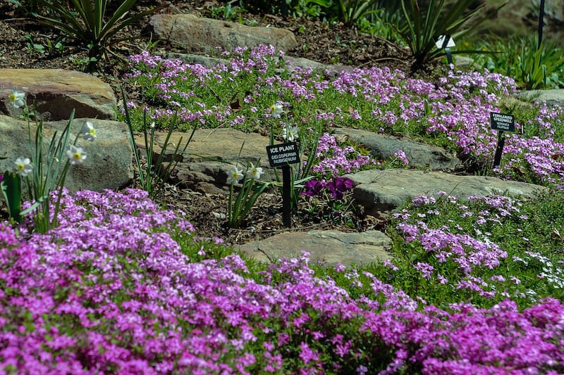 Meadowlark Botanical Gardens in Virginia