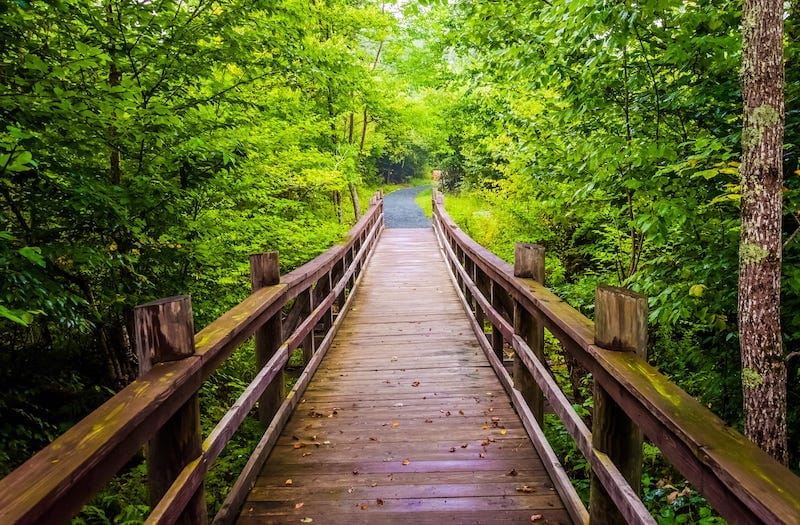 Limberlost Trail in Shenandoah National Park