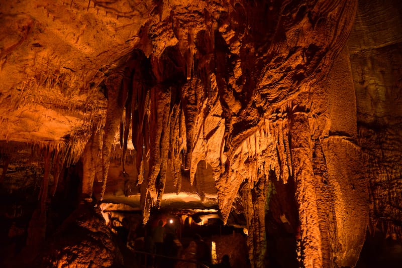 Mammoth Cave National Park