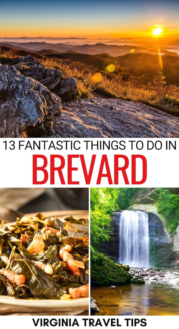 Planning a trip to Western North Carolina and looking for the best things to do in Brevard NC? This guide details a variety! Nature, food, history, and more! | Brevard things to do | What to do in Brevard | Brevard itinerary | Weekend in Brevard | Brevard attractions | Brevard hiking | Brevard restaurants | Brevard craft beer | Brevard coffee shops | Brevard landmarks | Brevard museums | Places to visit in Brevard | Places to visit near Asheville