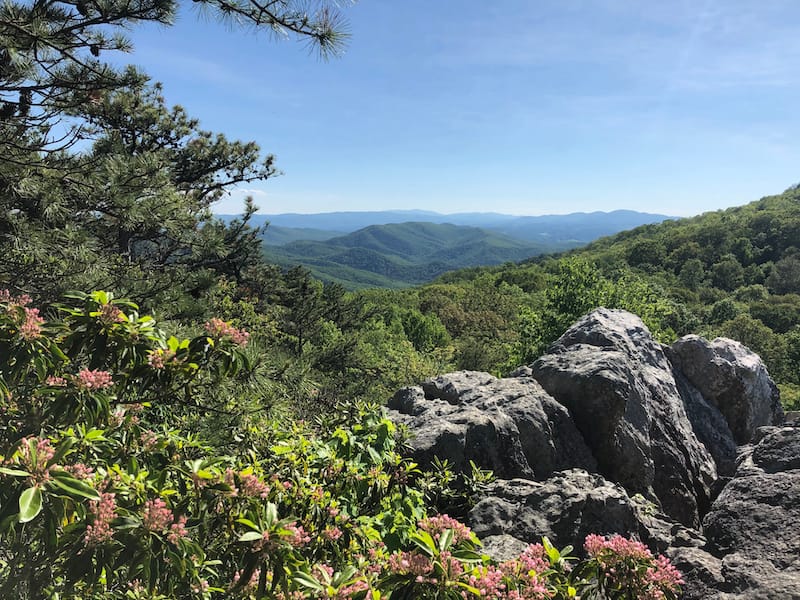 2 Nearby - High Rocks Trail in Wytheville