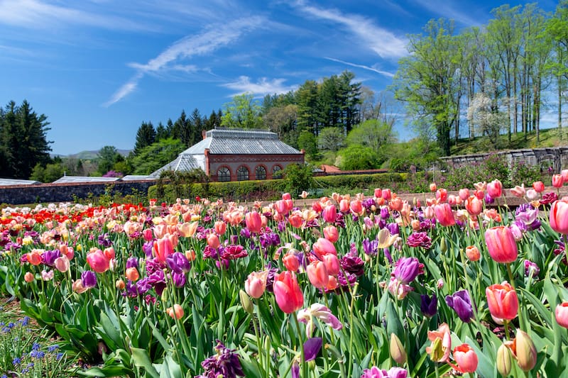 Biltmore Estate gardens // Editorial credit: Joanne Dale / Shutterstock.com