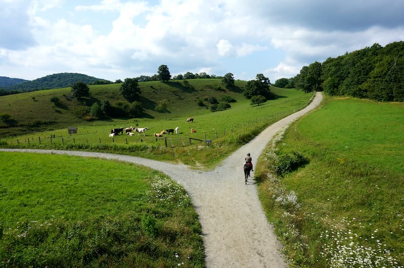 Blue Ridge Mountains horseback riding