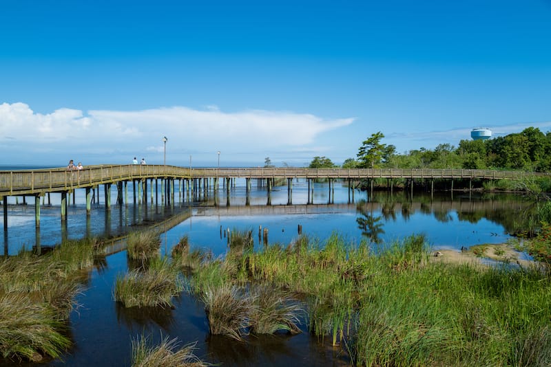 Boardwalk in Duck NC