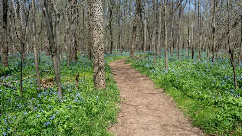 Bull Run Regional Park