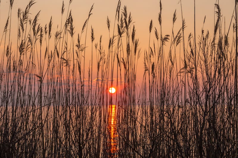 Chesapeake Beach