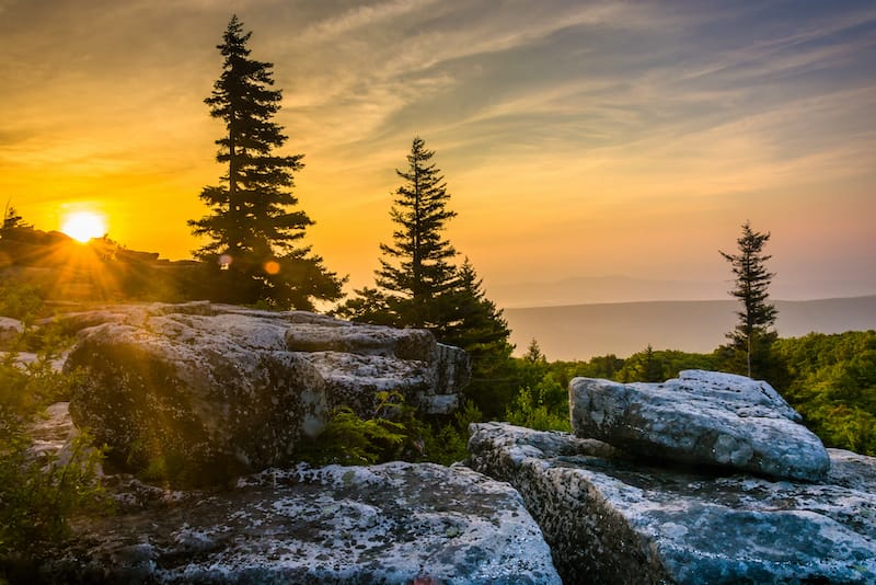 Dolly Sods Wilderness in Monongahela National Forest