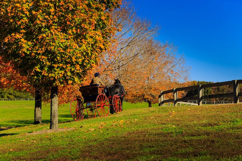 Staunton in fall // Editorial credit: Carol Bell / Shutterstock.com