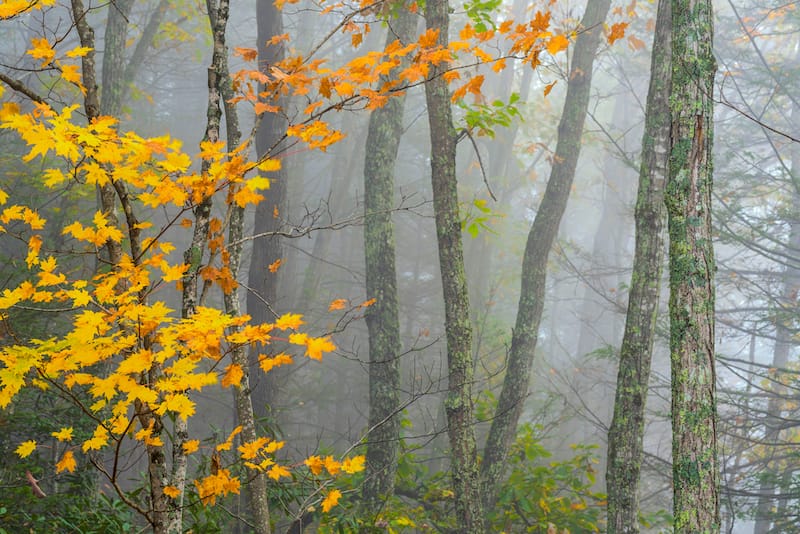 Gauley River National Recreation Area