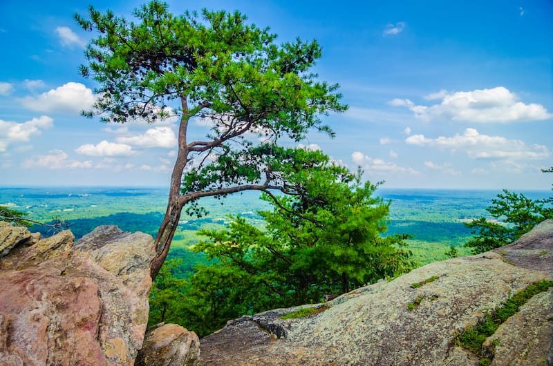 10 Best Hikes near Charlotte, NC for All Levels (+ Map!)