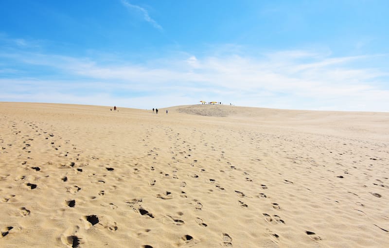 Jockey's Ridge State Park in Nags Head