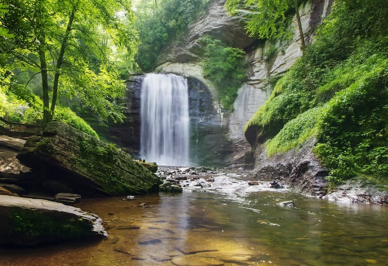 Looking Glass Falls in the Pisgah National Forest
