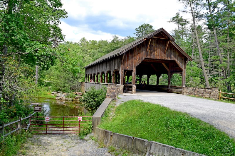 Pisgah National Forest