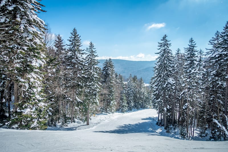 Snowshoe Ski Resort in WV