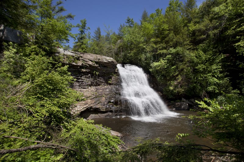 Swallow Falls State Park