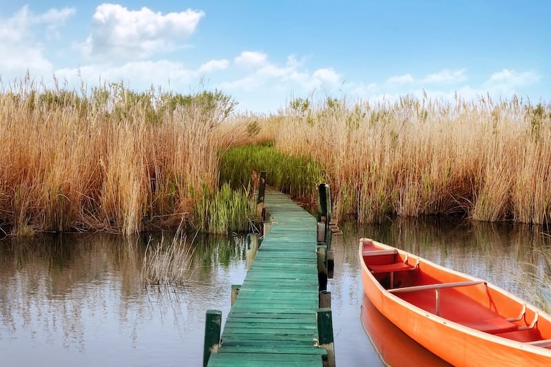 Currituck - Best day trips from Virginia Beach