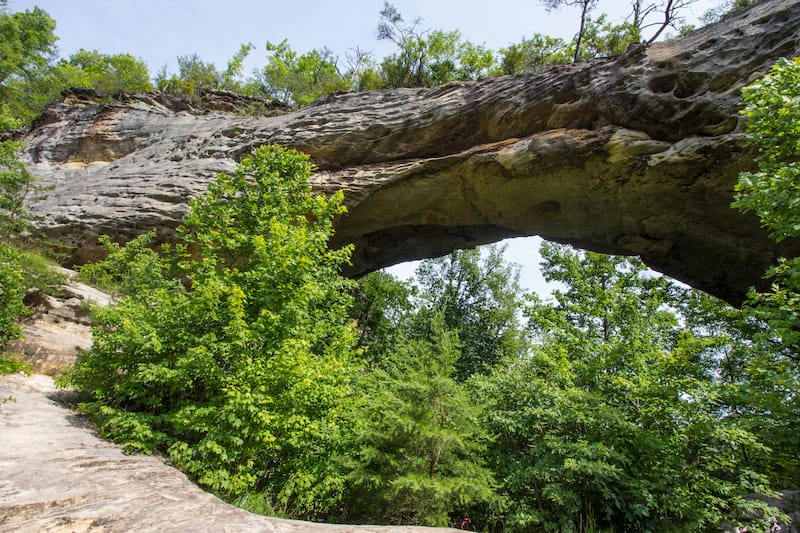 Daniel Boone National Forest