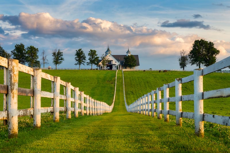 Lexington horse farm