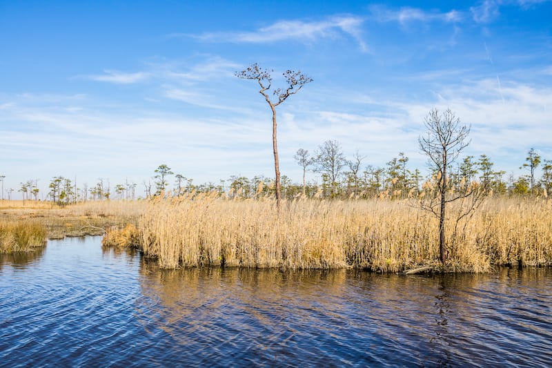 Mackay Island National Wildlife Refuge