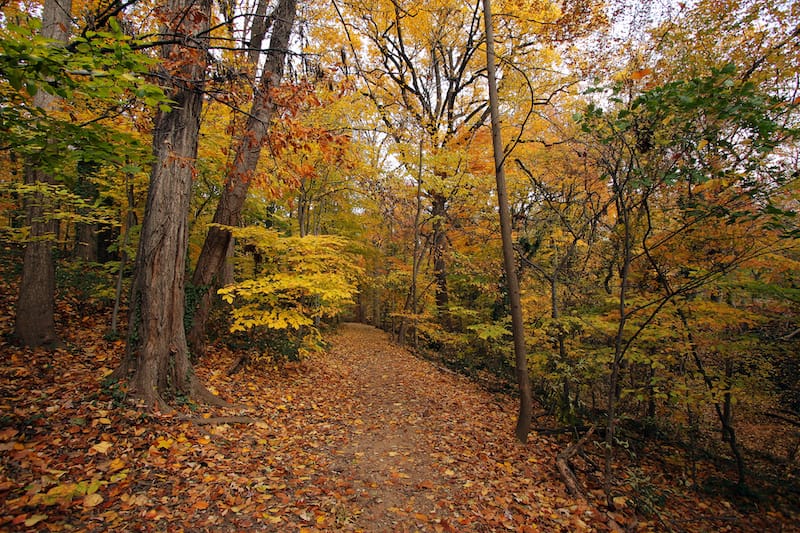 Rock Creek Park in the fall
