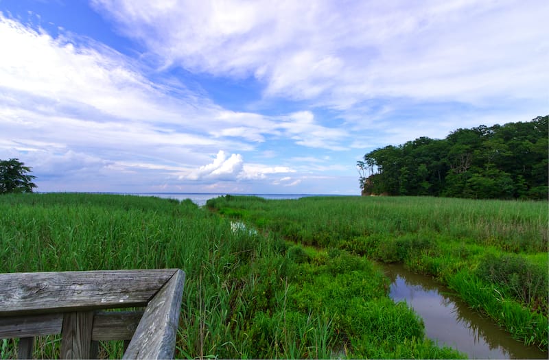 Westmoreland State Park