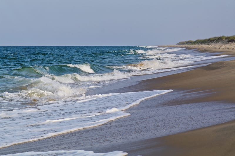 Back Bay National Wildlife Refuge 