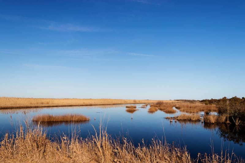 Back Bay National Wildlife Refuge