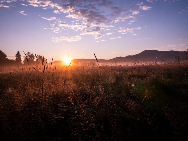 Canaan Valley Resort and State Park